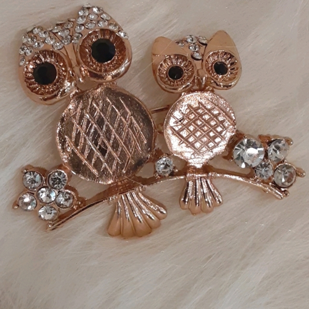 Owl Brooch with Rhinestones/Gem